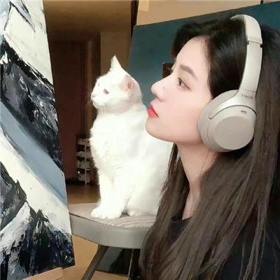 黑影家族