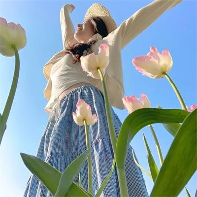 国宝天香